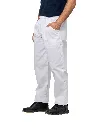 R179.webp