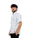 R147.webp