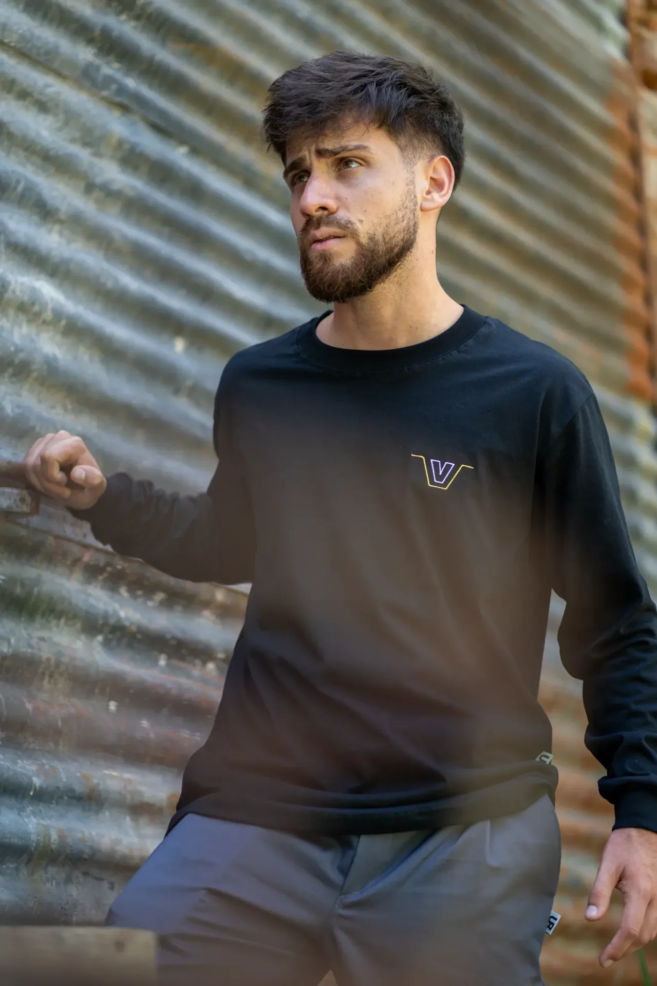 REMERA ALGODÓN MANGAS LARGAS